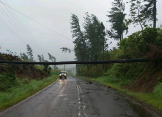 Cyclone Yasa