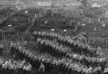 Armed Constabulary at Parihaka.