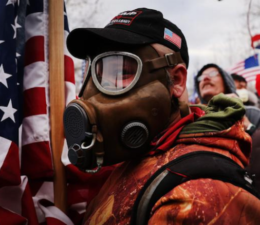 Capitol protester