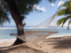 Cook Islands hammock