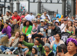Bicultural NZ