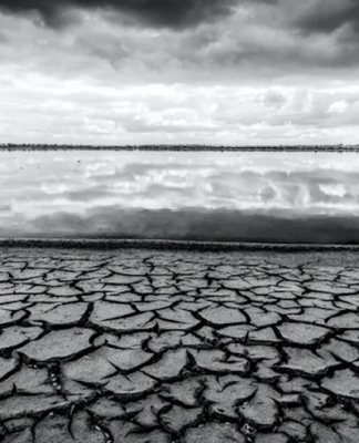 Collapsing eco-systems