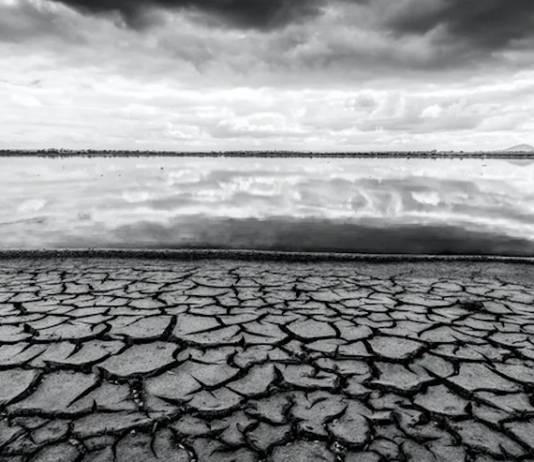 Collapsing eco-systems