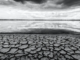 Collapsing eco-systems
