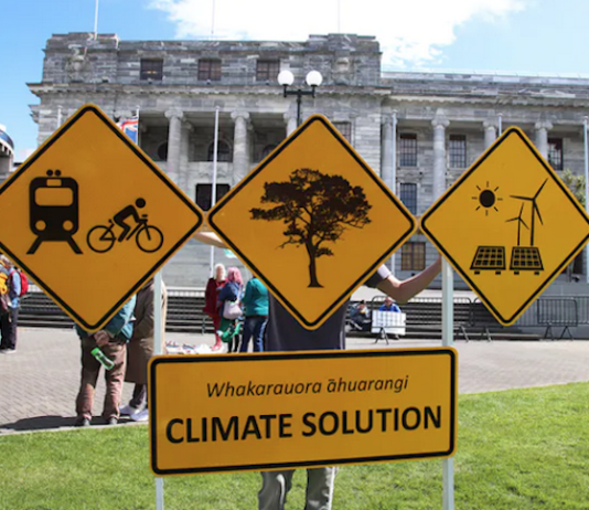 NZ climate action protest