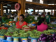 ‘Crisis within a crisis’: Violence more risky for Fiji women than covid