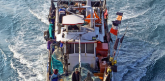 Fishing boat in Taiwan AllAtSea report 680wide