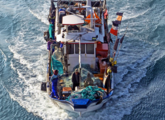Fishing boat in Taiwan AllAtSea report 680wide