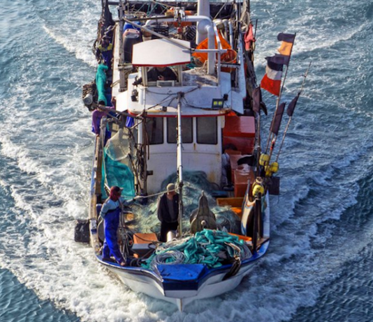 Fishing boat in Taiwan AllAtSea report 680wide