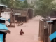 Flooding in Dili 1