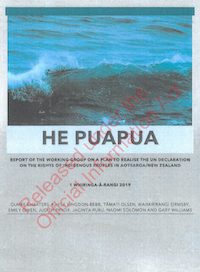 He Puapua report