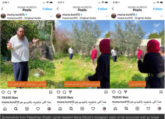 Screenshots from Palestinian Sheikh Jarrah resident Mona ElKurd's Instagram video