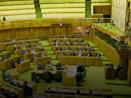 PNG Parliament Haus
