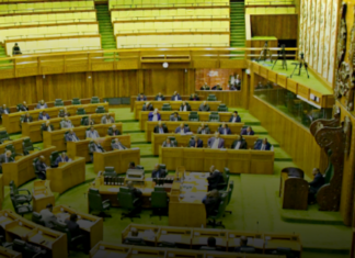 PNG Parliament Haus