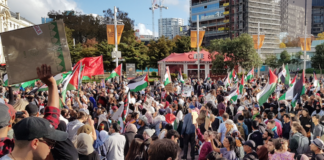 NZ protest for Palestine