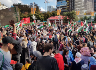 NZ protest for Palestine
