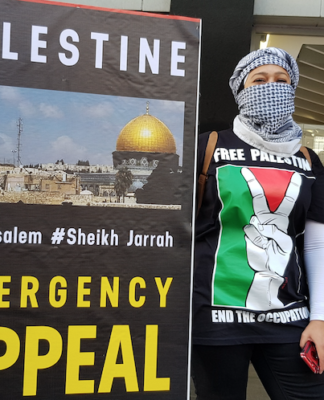 Palestinian protester