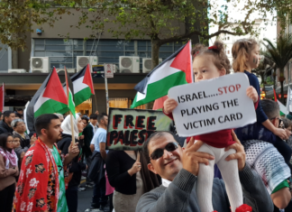 Palestinian child at NZ rally