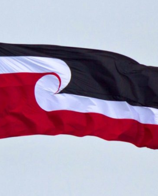 The tino rangatiratanga flag