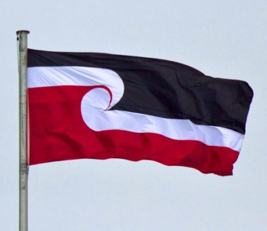 The tino rangatiratanga flag