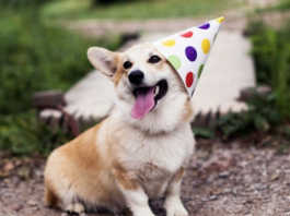 Queen's Birthday 2021