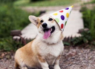 Queen's Birthday 2021