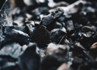 NZ coal imports