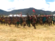 Dogiyai regency, Papua, protest