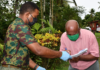 Fiji vaccination rollout