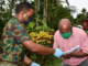 Fiji vaccination rollout