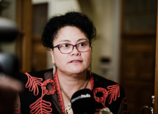 NZ Labour MP Louisa Wall
