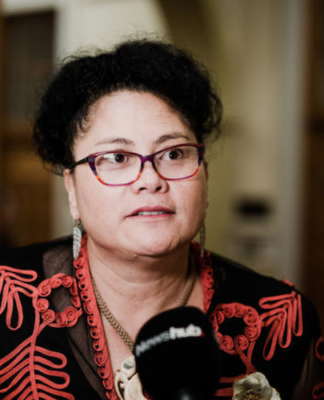 NZ Labour MP Louisa Wall