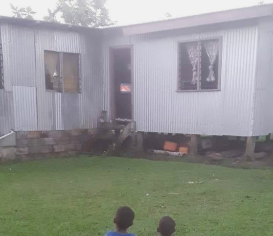 Young Fiji sevens fans