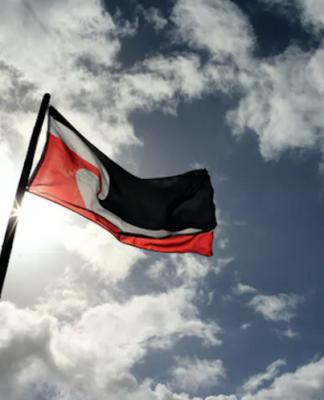 Separatist or radically inclusive? What NZ’s He Puapua report really says about the Declaration on the Rights of Indigenous Peoples Tino Rangatiratanga flag