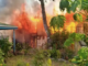 NBC Five Mile fire
