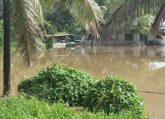 Climate change in Cook Islands