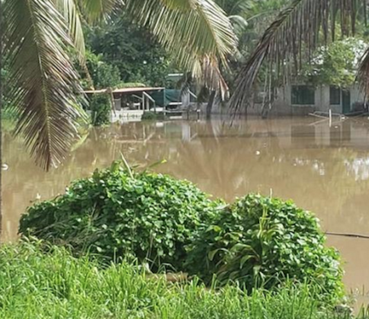 Climate change in Cook Islands