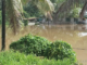 Climate change in Cook Islands