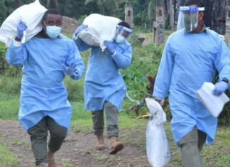 Fiji health workers