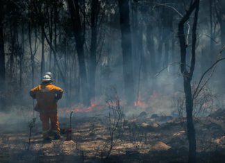 twin catastrophic threats of climate change and a pandemic