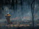 twin catastrophic threats of climate change and a pandemic