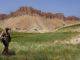 New Zealand should never have joined the war in Afghanistan A New Zealand soldier on patrol in Bamiyan Province