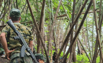 Burmese People's Defence Force (PDF) troops