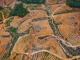 Deforestation in Central Kalimantan