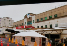 Middlemore Hospital triage tent
