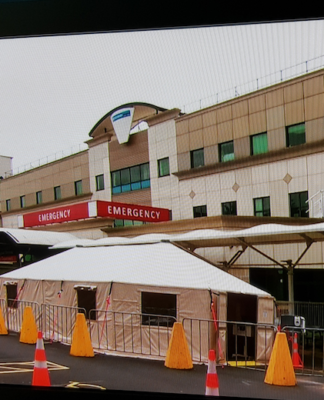 Middlemore Hospital triage tent