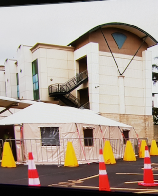 Middlemore Hospital triage tent