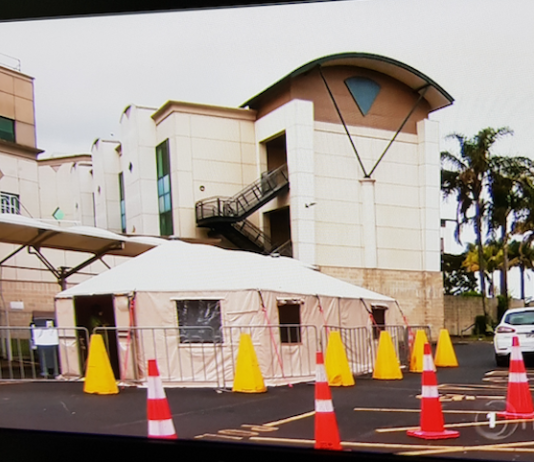 Middlemore Hospital triage tent