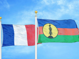 Kanaky referendum flags