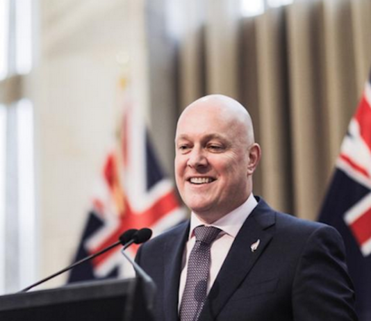 New NZ National Party leader Christopher Luxon